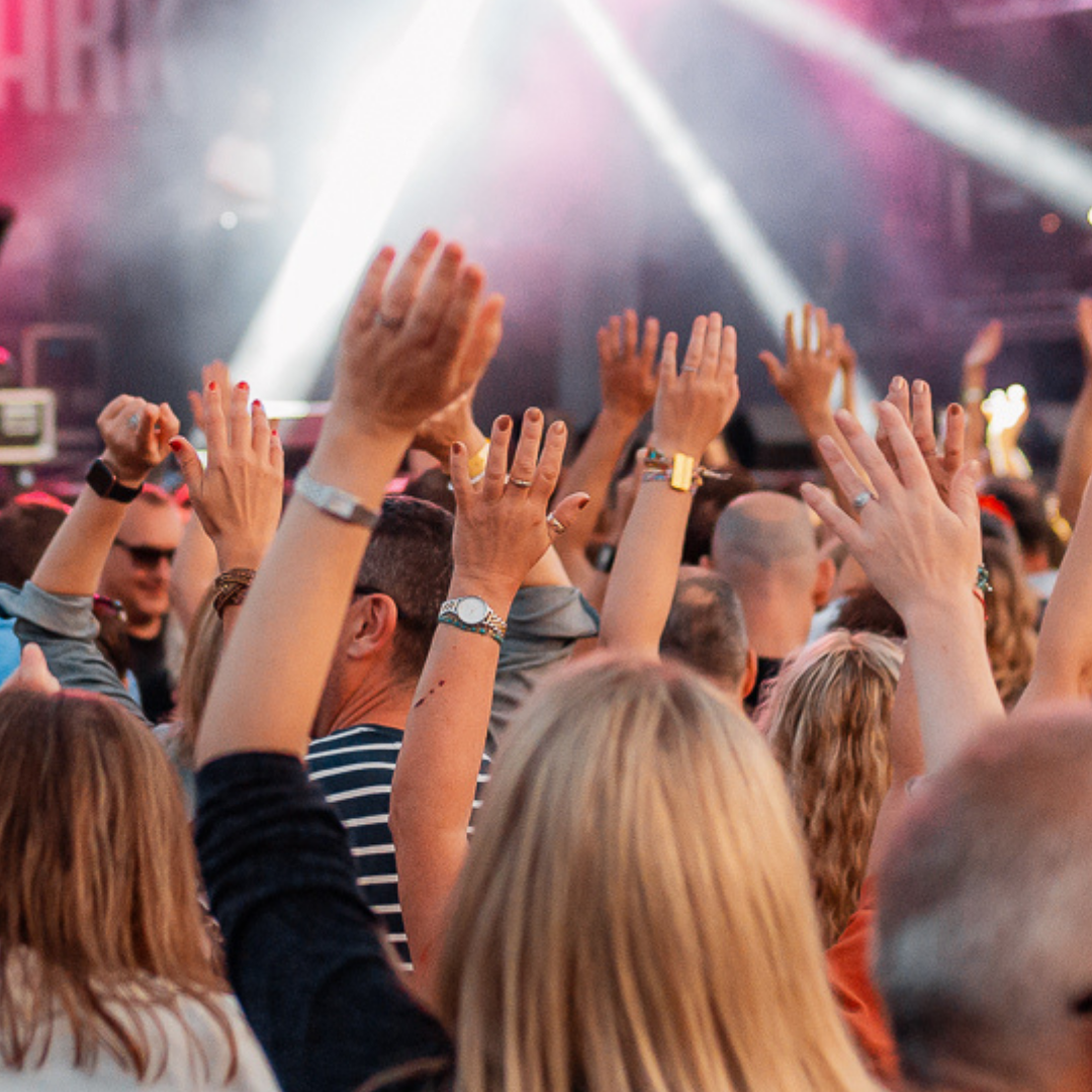 Festival day tickets - 