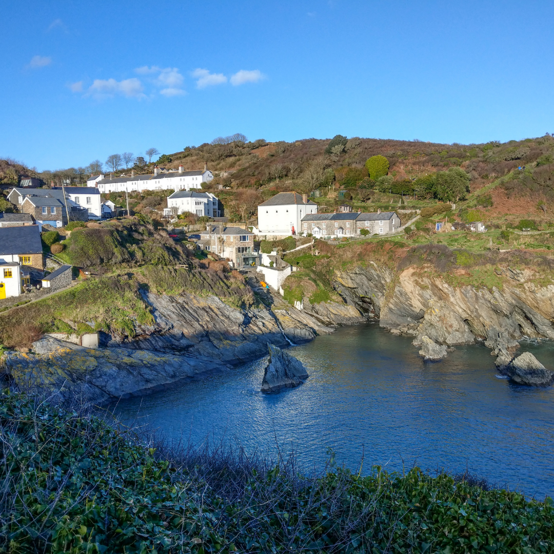 website road trip (2).png